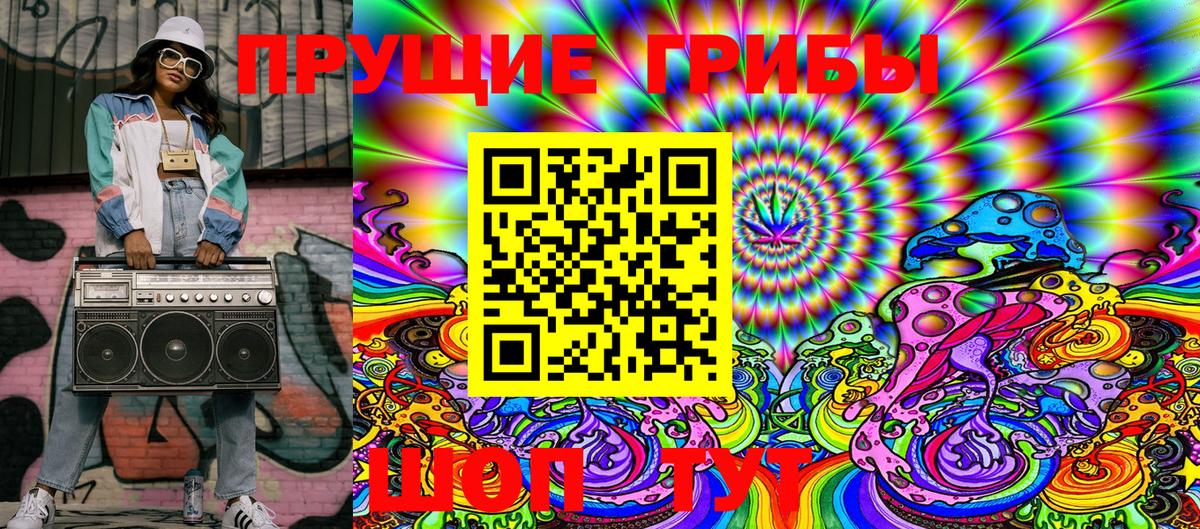 Псилоцибиновые грибы Cubensis Киржач